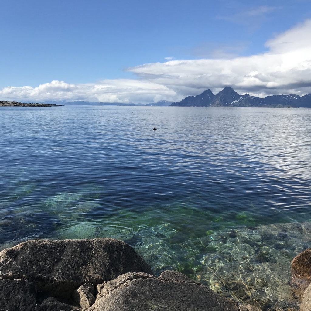 En malerisk vandmasse med klippekyster og majestætiske bjerge i baggrunden, der minder om de fantastiske landskaber, der findes i Lofoten.