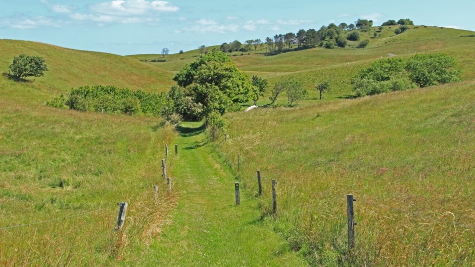 En græsklædt bakke med et hegn, der fører til en græsklædt mark.