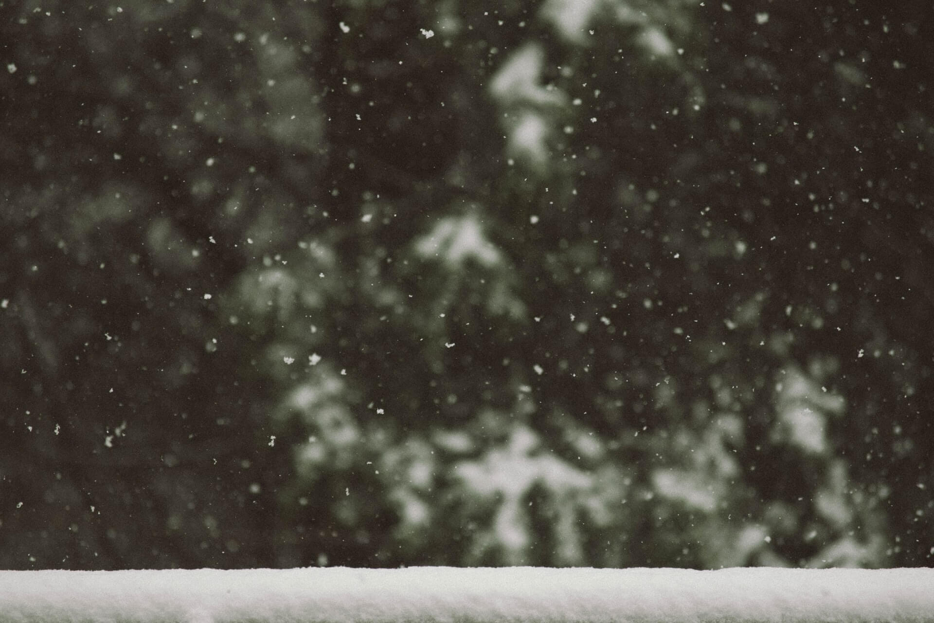 Sne, der falder på et rækværk med træer i baggrunden, skaber en vinterlandskabsscene.