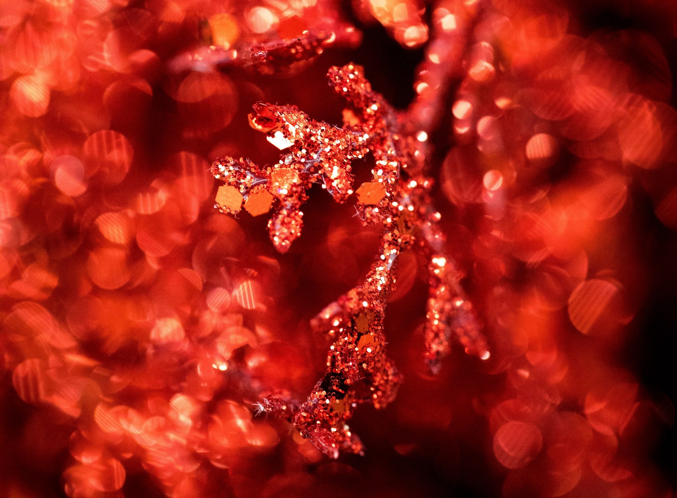 Et nærbillede af en rød gren med mange gnistre, der skaber en magisk atmosfære perfekt til Julehygge med sine kære.