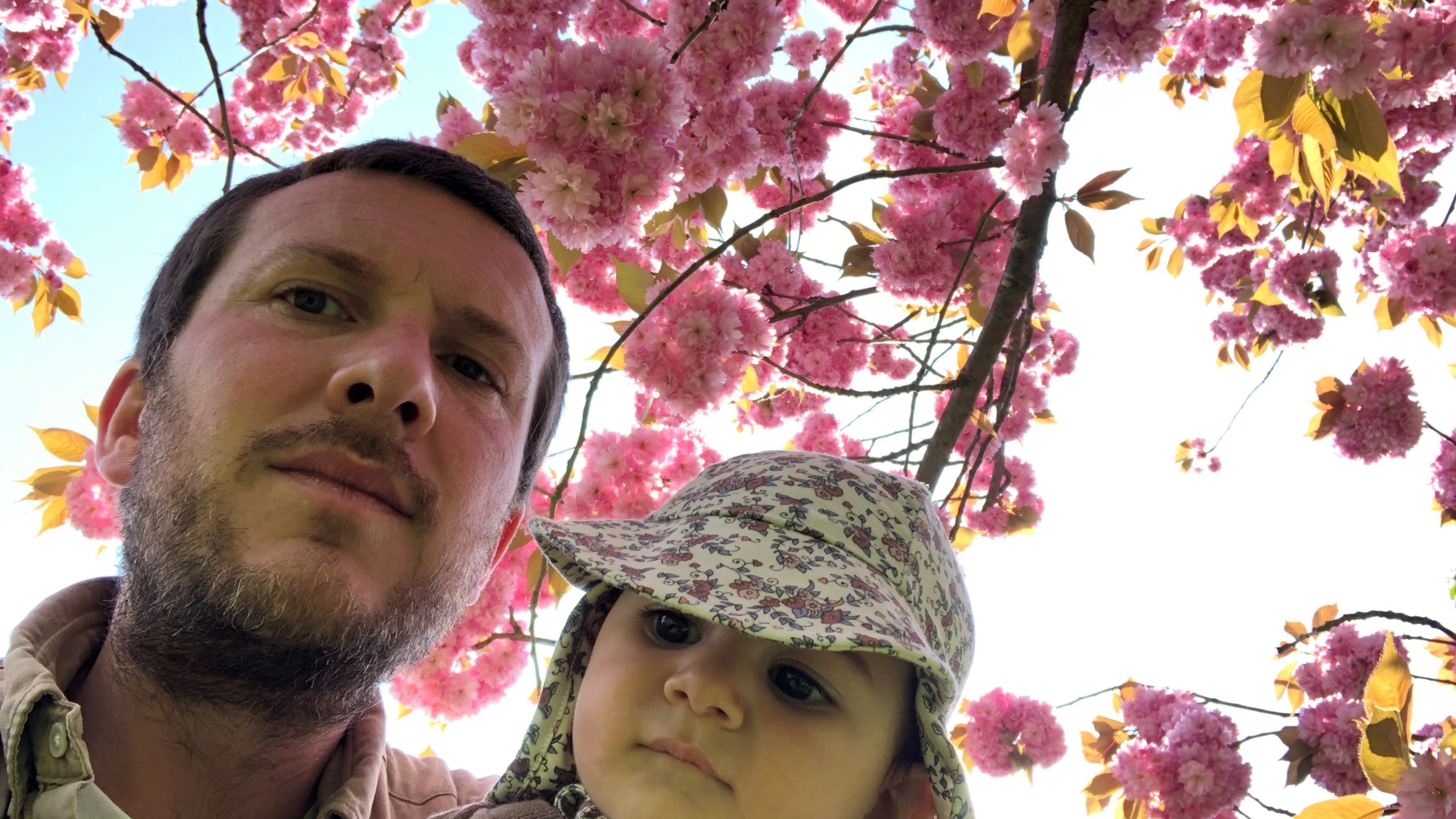 Andreas Pallisgaard holder et barn under et lyserødt blomstertræ.