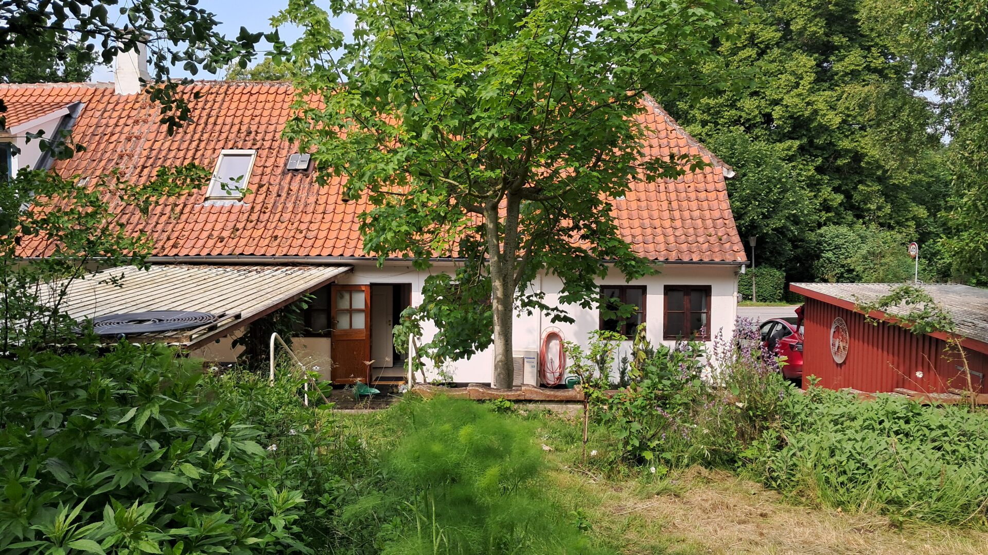 Et hvidt hus med rødt tegltag, delvist skygget af et træ, står ved siden af et rødt udhus midt i grønt og tilgroet græs.