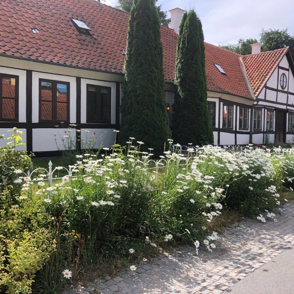 Musikanterhuset, et hus med hvide blomster foran, beliggende på Langeland.