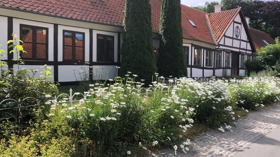 Musikanterhuset, et hus med hvide blomster foran, beliggende på Langeland.