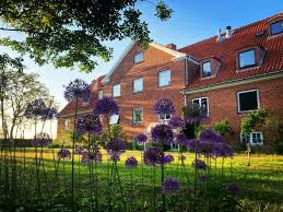 Et murstenshus med et rødt tag og flere vinduer vises med lilla blomster og grønt græs i forgrunden under en blå himmel.