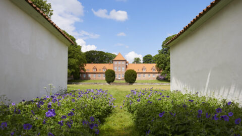 Udsigt mellem to hvide bygninger med en sti omkranset af lilla blomster, der fører til en stor murstensbygning med rødt tag i baggrunden under en blå himmel med skyer.