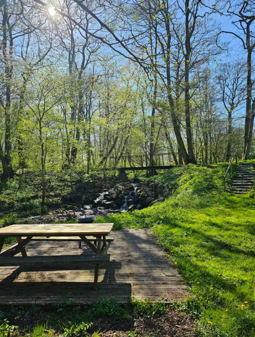 Et picnicbord i træ står på en terrasse ved siden af et lille vandløb i en solbeskinnet, grøn skov med en gangbro og trapper i baggrunden.