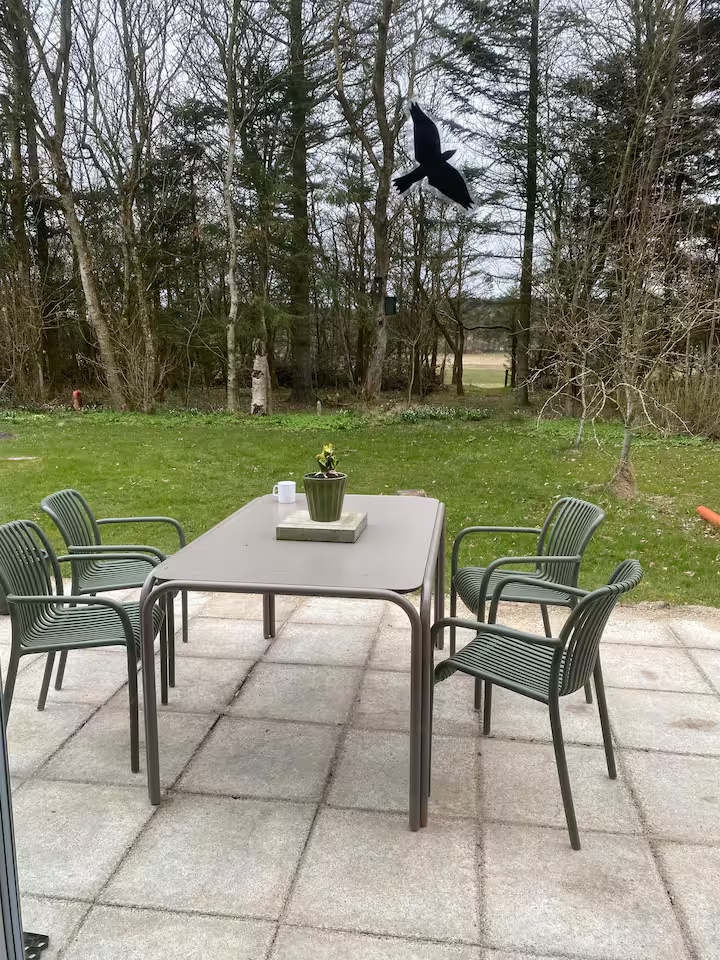 En sort fugl flyver hen over et terrassebord med en potteplante, omgivet af fire grønne stole, med græs og træer i baggrunden.