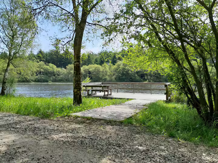 En trægangbro, der fører hen til et picnicbord og en bænk på en terrasse ved en rolig sø, omgivet af grønne træer og græs, under en klar himmel.